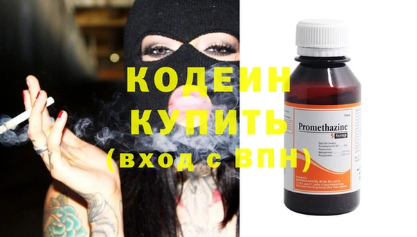 хмурый Алексин