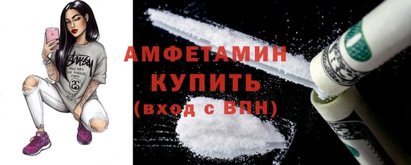 стаф Алзамай