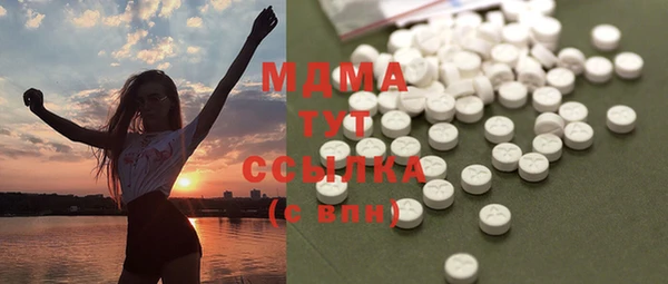 стаф Алзамай