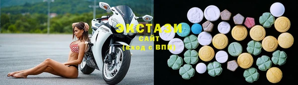 хмурый Алексин