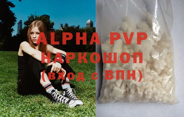 хмурый Алексин