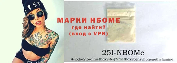 стаф Алзамай