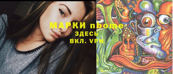 стаф Алзамай