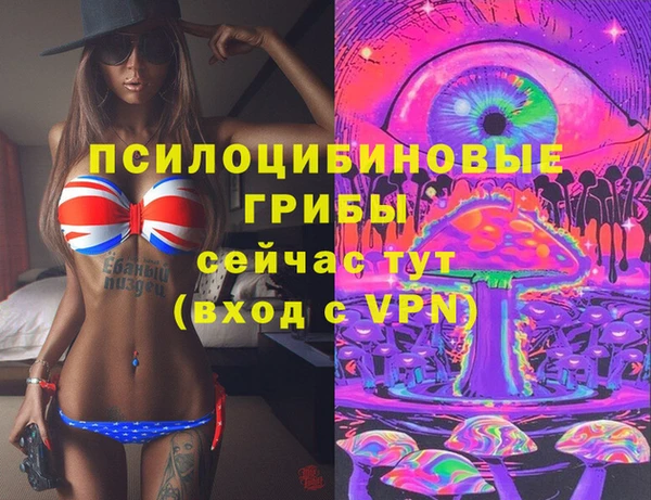 стаф Алзамай