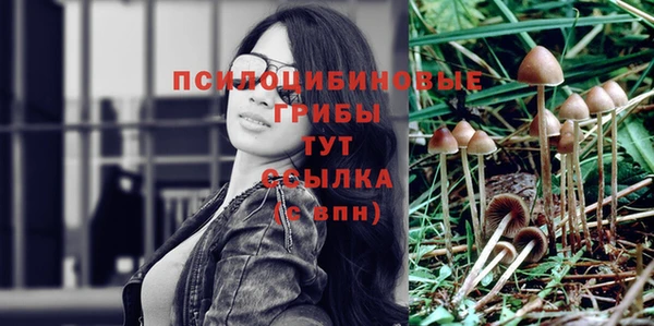 хмурый Алексин