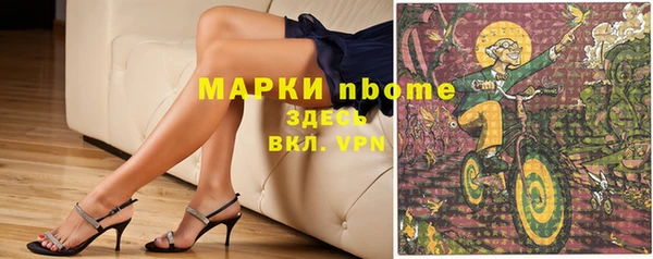 стаф Алзамай