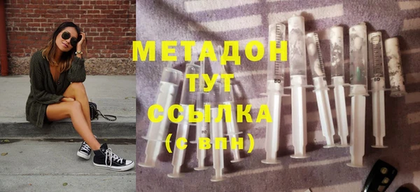 стаф Алзамай