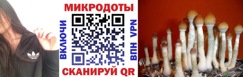 блэк спрут как войти  где продают наркотики  Петропавловск-Камчатский  площадка формула  Псилоцибиновые грибы Psilocybine cubensis 